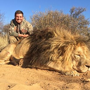 Hunting Lion South Africa