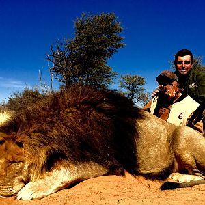 Hunting Lion South Africa