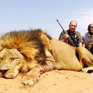 Hunting Lion South Africa