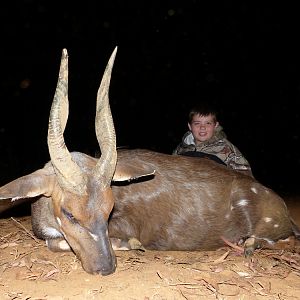 South Africa Hunting Bushbuck