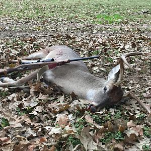 San Gabriel Buck