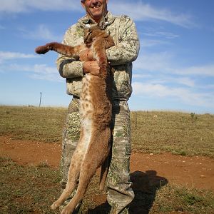 Caracal Hunt South Africa