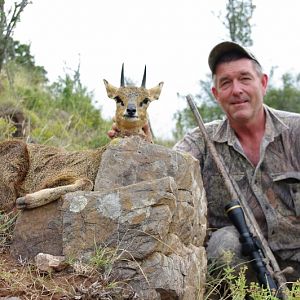 Hunting Klipspringer South Africa