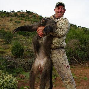 South Africa Baboon Hunt