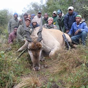 Hunting Eland South Africa