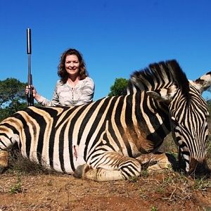 Zebra Hunt South Africa