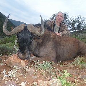 Hunting South Africa Black Wildebeest