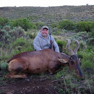 Red Hartebeest Hunting in South Africa