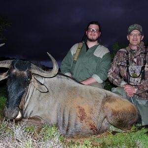 Blue Wildebeest Hunting in South Africa