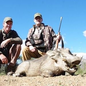 Hunting Warthog in South Africa