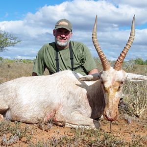 Hunt White Blesbok South Africa