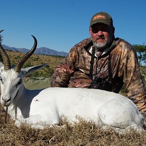 White Springbok Hunt South Africa