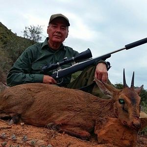 South Africa Duiker Hunt