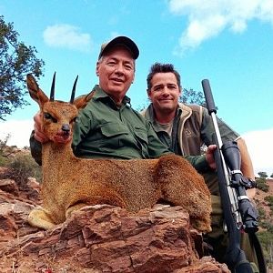 South Africa Klipspringer Hunting