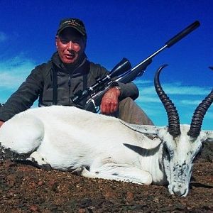 White Springbok Hunt South Africa