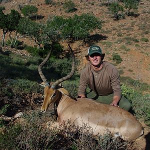 Hunting South Africa Impala