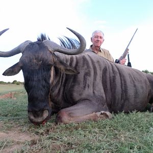 Blue Wildebeest Hunting in South Africa