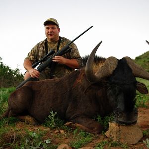 Hunting South Africa Black Wildebeest