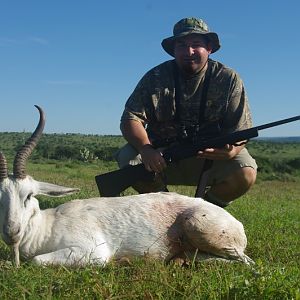 White Springbok Hunt South Africa