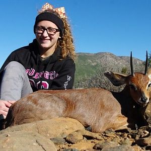 South Africa Steenbok Hunting