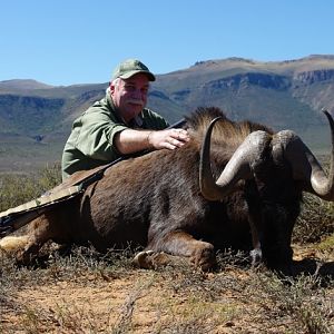 Hunting South Africa Black Wildebeest