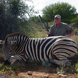 Zebra Hunt South Africa