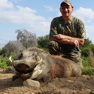 Hunting Warthog in South Africa