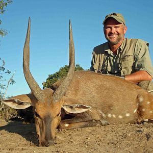 Bushy Bushbuck