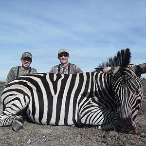 Zebra Hunt