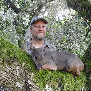 Blue Duiker Hunting