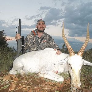 Hunt White Blesbok