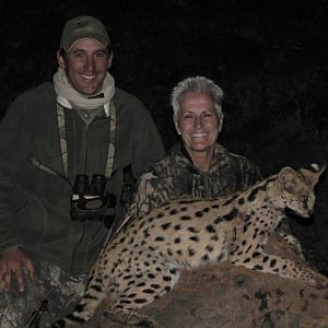 Serval Cat Hunt