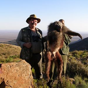 Hunting Baboon