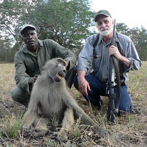 Baboon Hunt