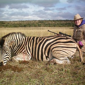 Zebra Hunt