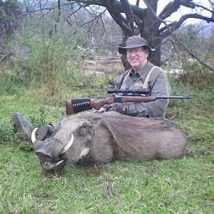 Hunting Warthog