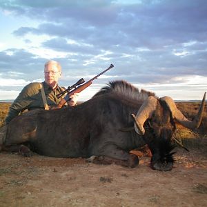 Hunting Black Wildebeest