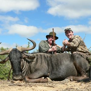 Blue Wildebeest Hunting