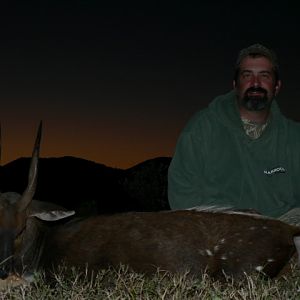 Hunting Bushbuck