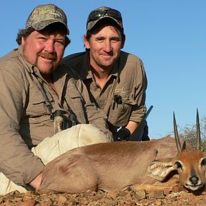 Steenbok Hunting