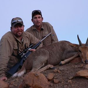 Mountain Reedbuck Hunting