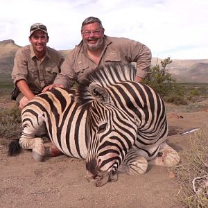 Zebra Hunt