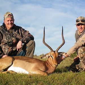 Hunting Impala