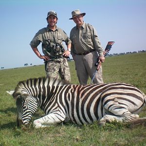 Zebra Hunt