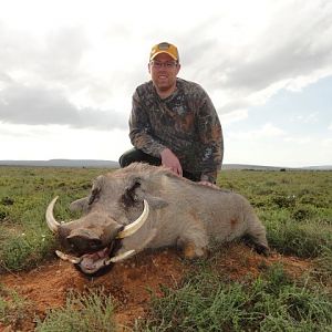 Hunting Warthog