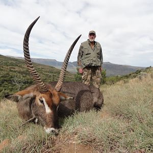 Hunting Waterbuck