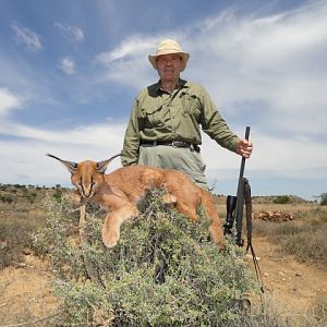 Caracal Hunt