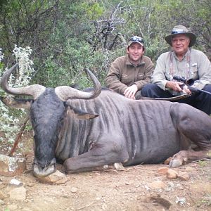 Blue Wildebeest Hunting