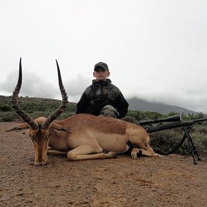 Hunting Impala