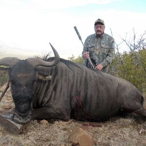 Blue Wildebeest Hunting